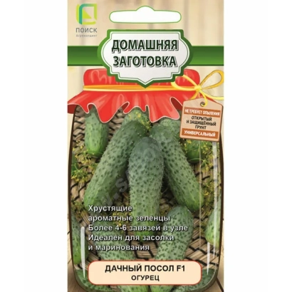 Пакет насіння огірка «Дачний Посол F1» з зображенням плодів - ДАЧНИЙ ПОСІЛЬ