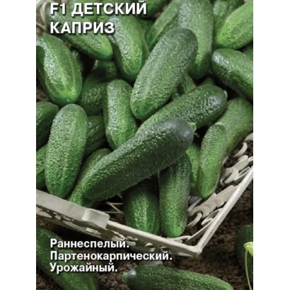 Огурцы сорта Детский Каприз в корзине