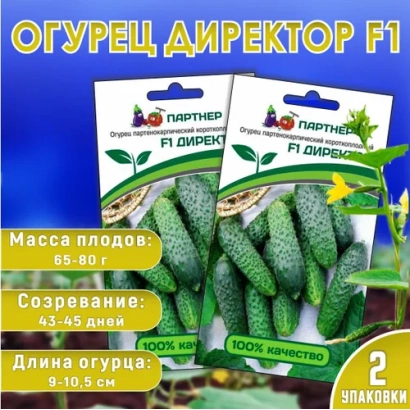 Seed packet of cucumber Director F1 with fruit image and Partner logo