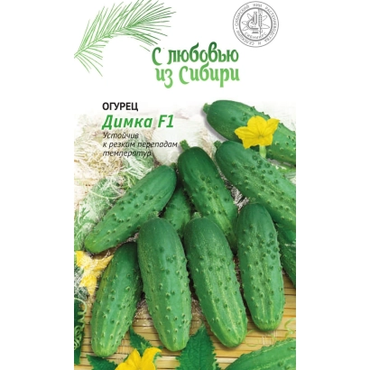 Пакет семян огурца Димка F1 с изображением плодов и надписью 'С любовью из Сибири'
