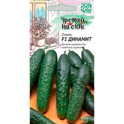 Пакет семян огурца сорта Динамит