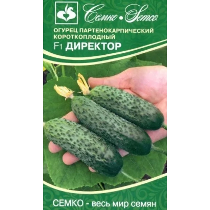 Пакет семян огурца сорта Директор