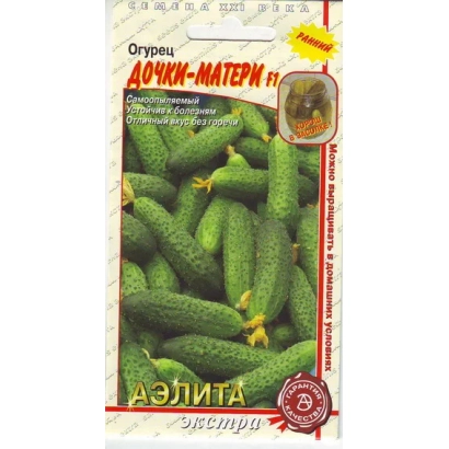 Seed packet for cucumbers DAUGHTERS-MOTHERS