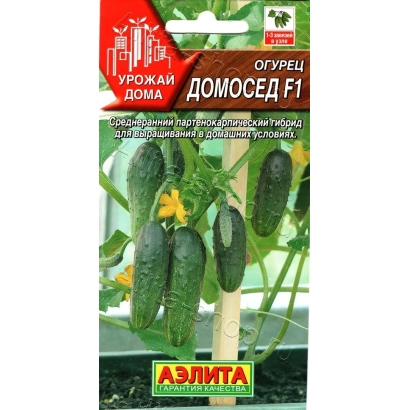 Пакет семян огурца ДОМОСЕД F1 с изображением зеленых огурцов на стебле.