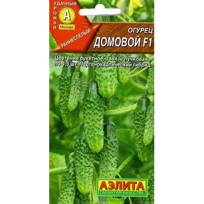 Пакет семян огурца Домовой F1 от Аэлита