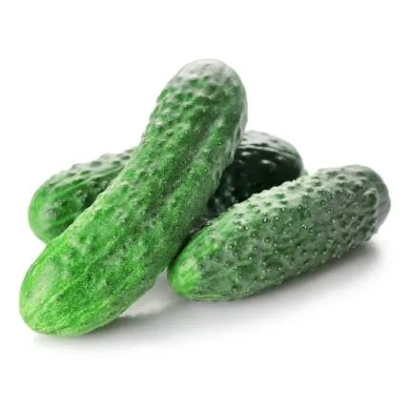 Свежие огурцы сорта ДСК 538 на белом фоне