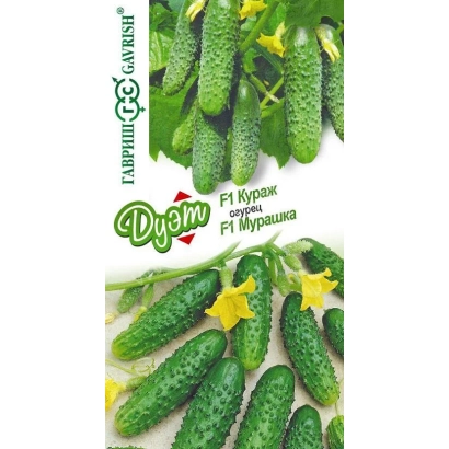 Пакет семян огурца ДУЭТ с изображением зеленых огурцов и желтых цветов