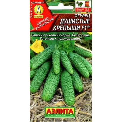 Семена огурца Душистые Крепыши F1 на фоне зеленых плодов