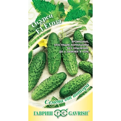 Egoza cucumber seeds on a background of cucumbers