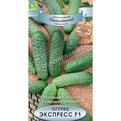Насіння огірка ЕКСПРЕС F1 на упаковці з зображенням плодів