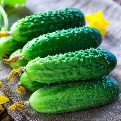 Свежие огурцы сорта Элиза на деревянной поверхности