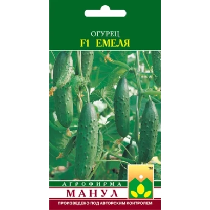 Семена огурца Емеля F1 на зеленом фоне с изображением плодов