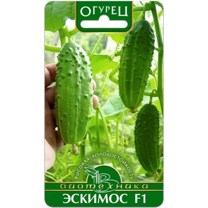 Cucumber seeds ESKIMO F1 on a background of a garden bed with growing cucumbers