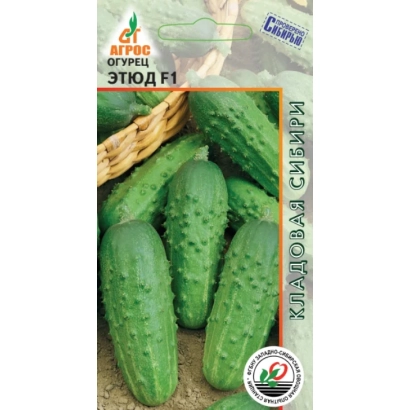 Семена огурца сорта Этюд F1 в упаковке с изображением плодов