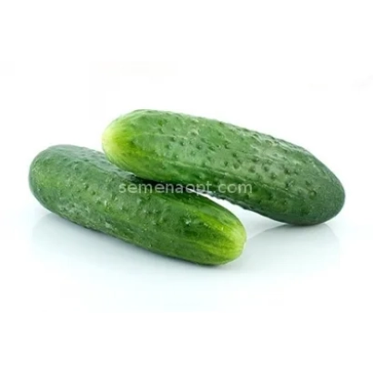 Два огурца на белом фоне - Евгения