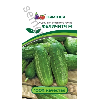 Seed packet of cucumber Felicità F1 with fruit image - FELICITA