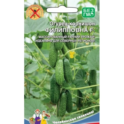 Пакет семян огурца ФИЛИППОВНА с изображением плодов и логотипом производителя