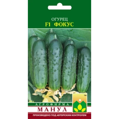 Семенной пакет огурца Фокус F1 с изображением плодов