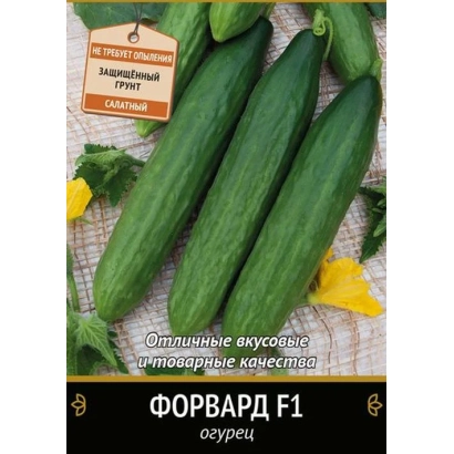 Seed packet of cucumber Forward F1 with image of fruits and flowers