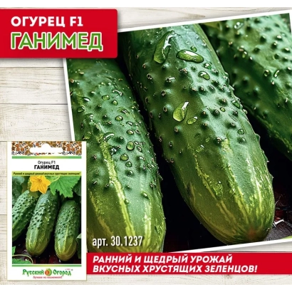 Огурец F1 Ганимед на упаковке с семенами