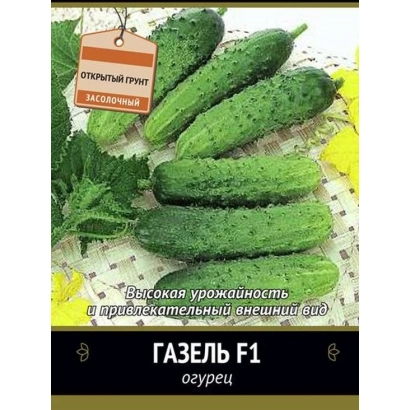 Огурцы сорта ГАЗЕЛЬ F1 на белом фоне с этикеткой