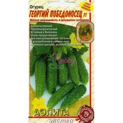 Seed packet of cucumber GEORGIY POBEDONOSETS with image of green cucumbers
