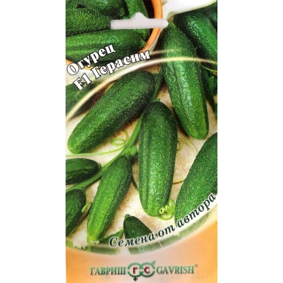 Seed packet of cucumber GHERASIM - GERASIM