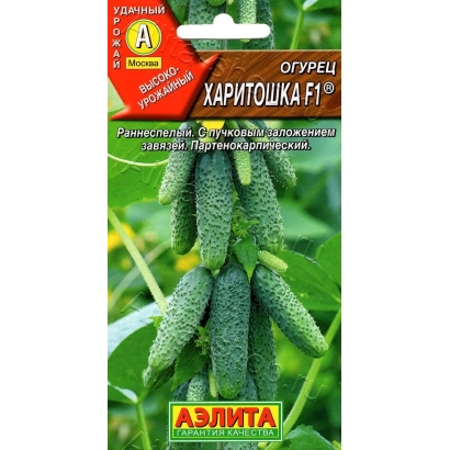 Seed packet of cucumber HARITOSHA F1 with cucumbers in background - CHARITOSHA