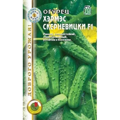 Пакет семян огурца ХЭРМЭС СКЕРНЕВИЦКИ F1