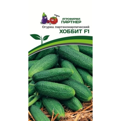 Семена огурца Хоббит F1 на фоне зеленых огурцов