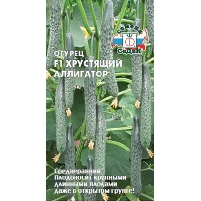 Пакет семян огурца Хрустящий Аллигатор на фоне грядки с растениями