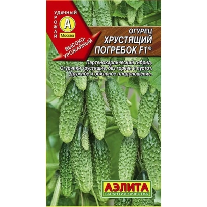 Seed packet of cucumber Crunchy Cellar with green cucumbers in background