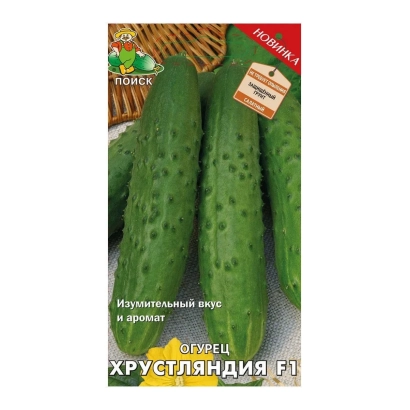 Пакет семян огурца Хрустяндия F1 - ХРУСТЛЯНДИЯ