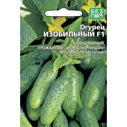 Cucumber seeds Abundant F1 on a background of green cucumbers