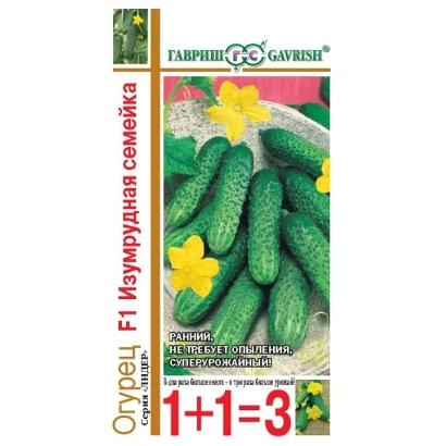 Seed packet of cucumber Emerald Family with image of green cucumbers and yellow flowers