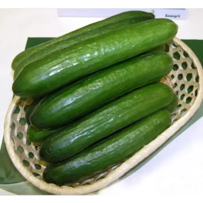 Fresh cucumbers in a woven basket - KAFFKA