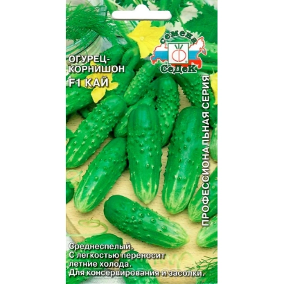 Seed packet of cucumber KAIS with image of green cucumbers