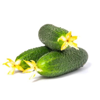 Свіжі огірки з квітками на білому фоні - Канцлер