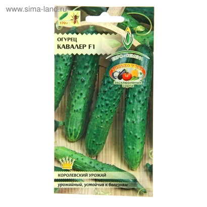 Пакет семян огурца Кавалер F1 с изображением зеленых огурцов