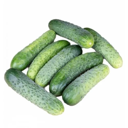 Group of cucumbers on white background - COCUEROR