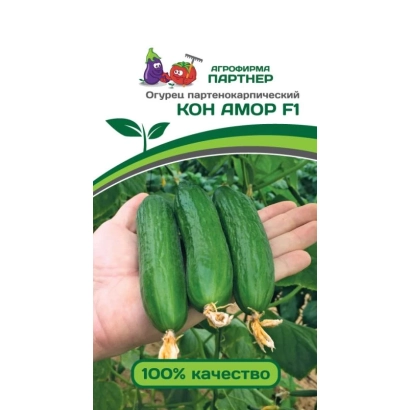 Насіння огірка КОН АМОР F1 на долоні з написом 100% якість