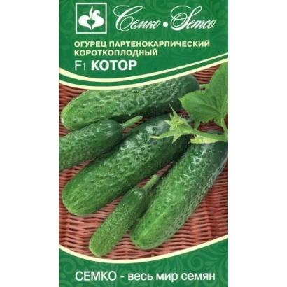 Пакет насіння огірка сорту КОТОР на фоні плетеної кошика