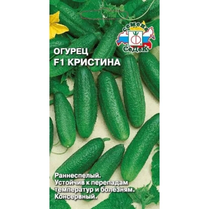 Cucumber F1 Cristina seeds on green background with fruit depiction