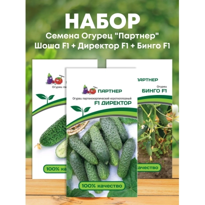 Набор семян огурца «Партнер»: Шона F1, Директор F1, Бинго F1 - Л-153