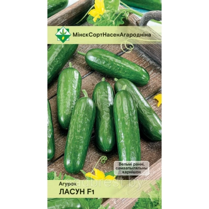 Пакет семян огурца ЛАСУН F1 - Л5224