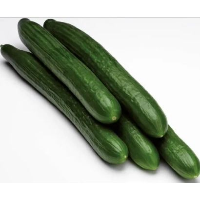 Свежие огурцы на белом фоне - ЛАЙФСКОР