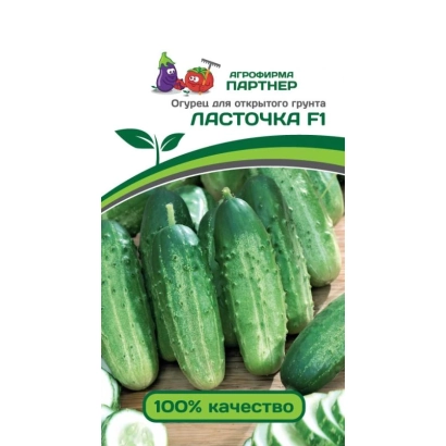 Семена огурца Ласточка F1 на зеленом фоне с изображением свежих огурцов