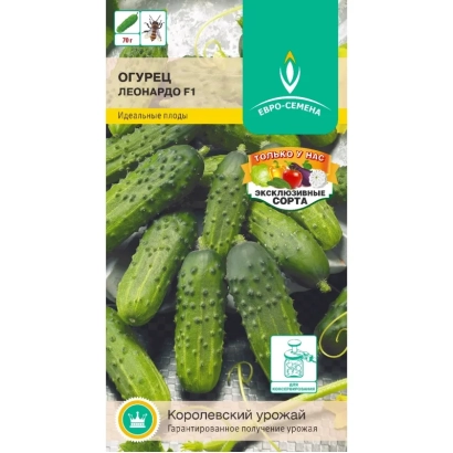 Пакет семян огурца Леонардо с изображением плодов