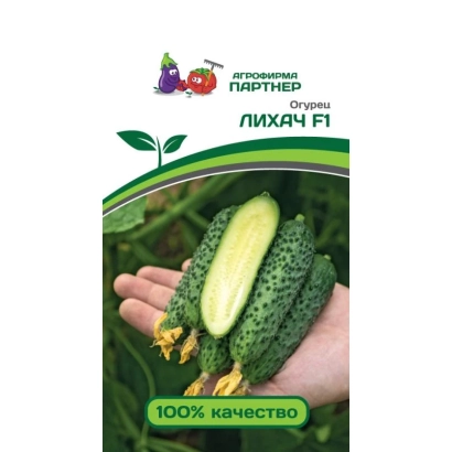Cucumber seeds LIHACH F1 held in hand against greenery