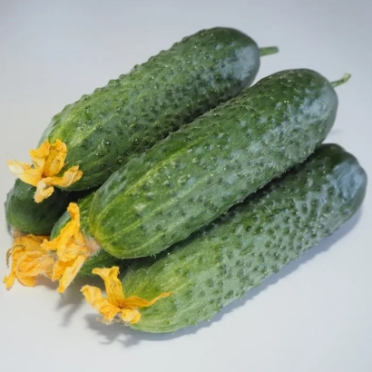 Три огурца с цветками на белом фоне - Мадейра